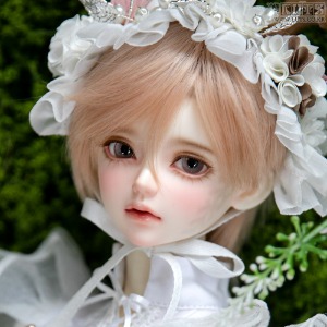 Senior Delf Muse  KAI Head Limited
