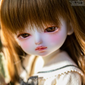 娃娃 Honey Delf PANINI Romance ver. Head Limited