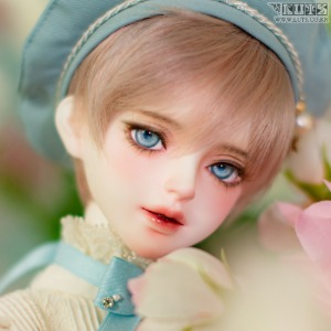 Senior Delf MUSE ALEX Head Limited