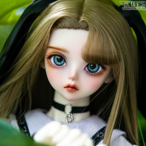 Senior Delf MUSE ANI Head Limited