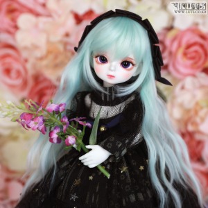 娃娃 Honey Delf Full Set - No.31