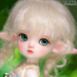 娃娃Tiny Delf WENDY Elf ver. Head Limited