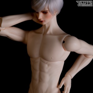 娃娃 Grand Senior75 Delf Body Type1 Muscle