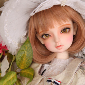 Senior Delf GLORIA Head Limited