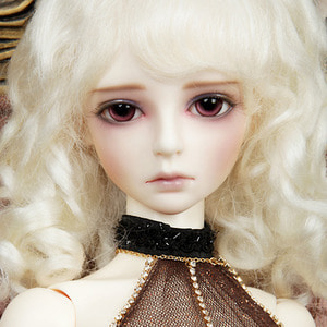 Senior Delf IRIS Head Limited