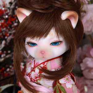 娃娃 Zuzu Delf Full Set J