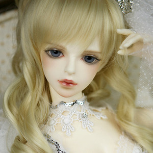 Senior Delf GRACE Head Limited