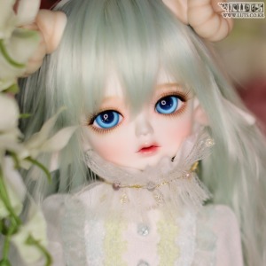 娃娃 Honey Delf PRING Elf ver. Head Limited