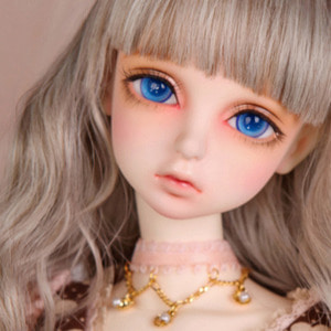 Senior Delf ELISIA Head Limited