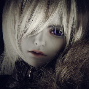 娃娃 Super Senior Delf REGEN Scarred Face ver Head Limited