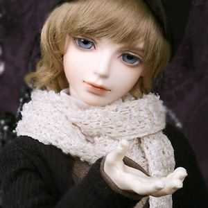 Senior Delf IDO Head Limited