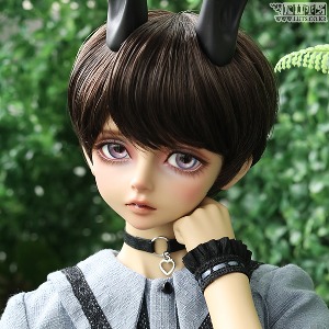 Senior Delf MUSE BORY Head Limited