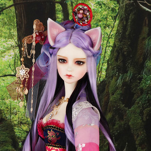 Senior Delf MIA Head Limited