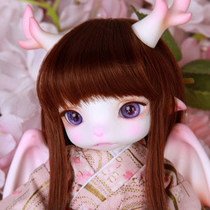 娃娃 Zuzu Delf Full Set F