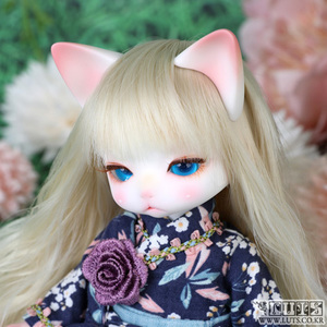 娃娃 ZUZU DELF FULL SET O