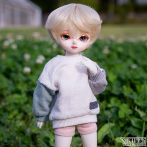 娃娃 Honey Delf Full Set No.26(Z)