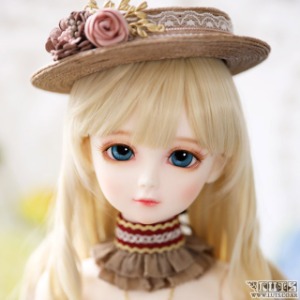 Senior Delf ARU Head Limited